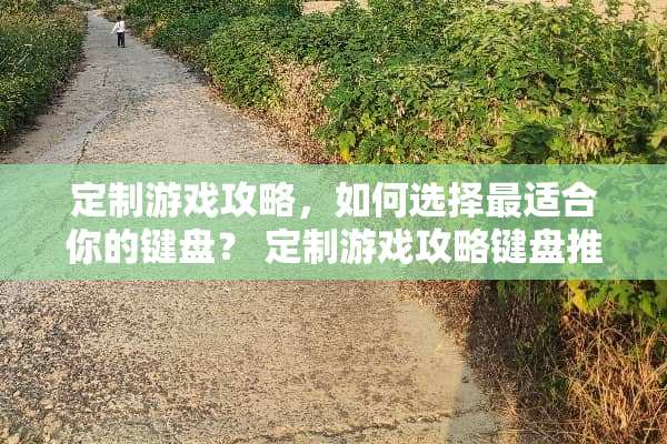 定制游戏攻略，如何选择最适合你的键盘？ 定制游戏攻略键盘推荐