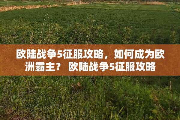 欧陆战争5征服攻略，如何成为欧洲霸主？ 欧陆战争5征服攻略