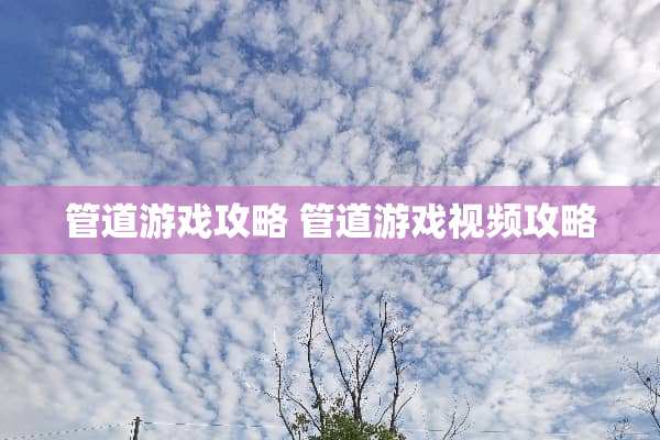 管道游戏攻略 管道游戏视频攻略