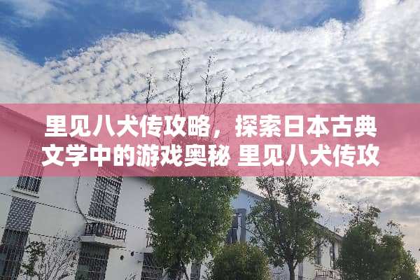 里见八犬传攻略，探索日本古典文学中的游戏奥秘 里见八犬传攻略