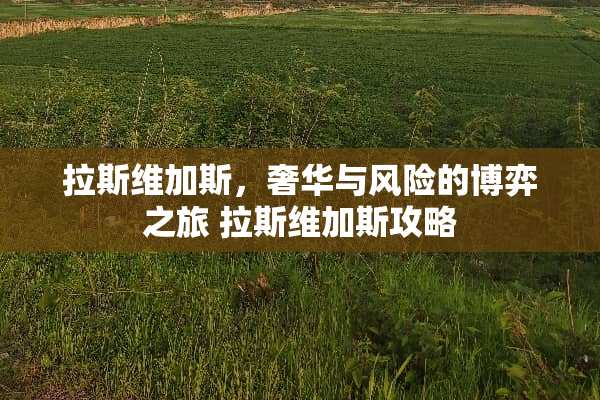 拉斯维加斯，奢华与风险的博弈之旅 拉斯维加斯攻略