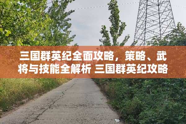 三国群英纪全面攻略，策略、武将与技能全解析 三国群英纪攻略