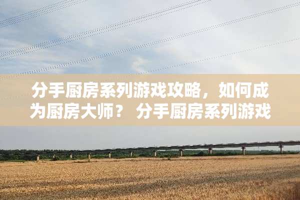 分手厨房系列游戏攻略，如何成为厨房大师？ 分手厨房系列游戏攻略