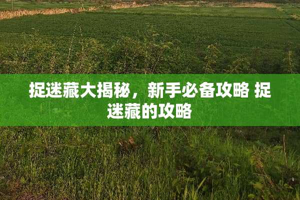 捉迷藏大揭秘，新手必备攻略 捉迷藏的攻略