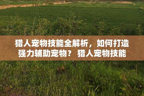 猎人宠物技能全解析，如何打造强力辅助宠物？ 猎人宠物技能