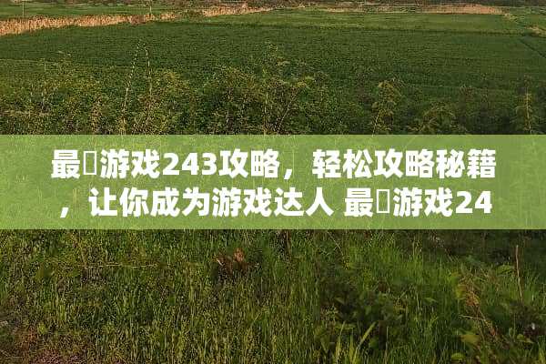 最囧游戏243攻略，轻松攻略秘籍，让你成为游戏达人 最囧游戏243攻略
