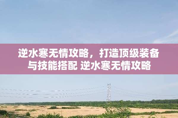 逆水寒无情攻略，打造**装备与技能搭配 逆水寒无情攻略