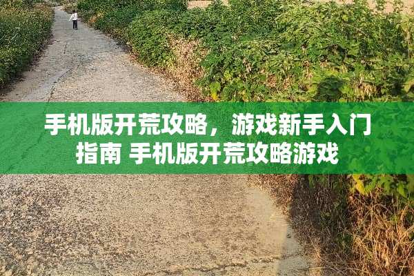 手机版开荒攻略，游戏新手入门指南 手机版开荒攻略游戏