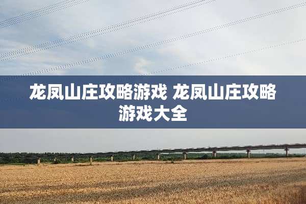 龙凤山庄攻略游戏 龙凤山庄攻略游戏大全
