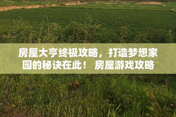 房屋大亨终极攻略，打造***园的秘诀在此！ 房屋游戏攻略