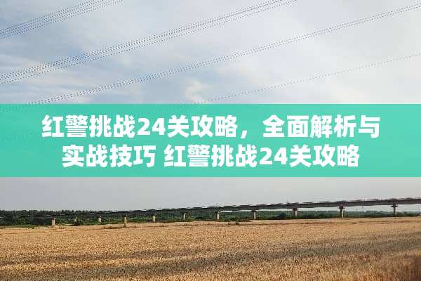 红警挑战24关攻略，全面解析与实战技巧 红警挑战24关攻略