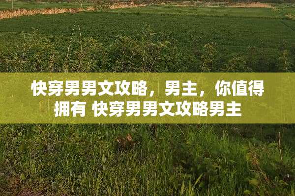 快穿男男文攻略，男主，你值得拥有 快穿男男文攻略男主
