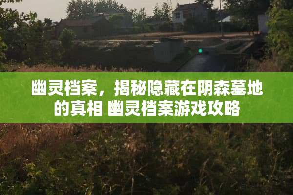 幽灵档案，揭秘隐藏在*森墓地的** 幽灵档案游戏攻略
