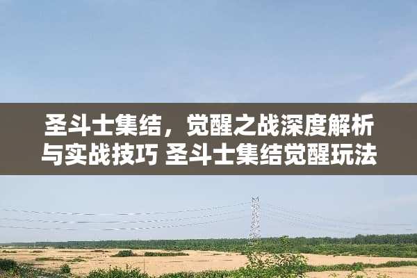 圣斗士集结，觉醒之战深度解析与实战技巧 圣斗士集结觉醒玩法