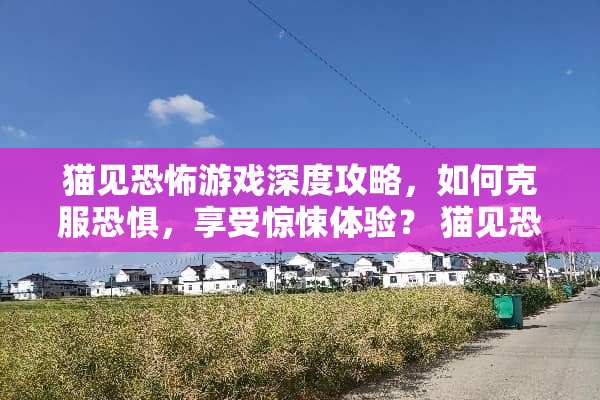 猫见恐怖游戏深度攻略，如何克服恐惧，享受惊悚体验？ 猫见恐怖游戏攻略