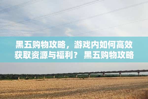 黑五购物攻略，游戏内如何高效获取资源与福利？ 黑五购物攻略游戏
