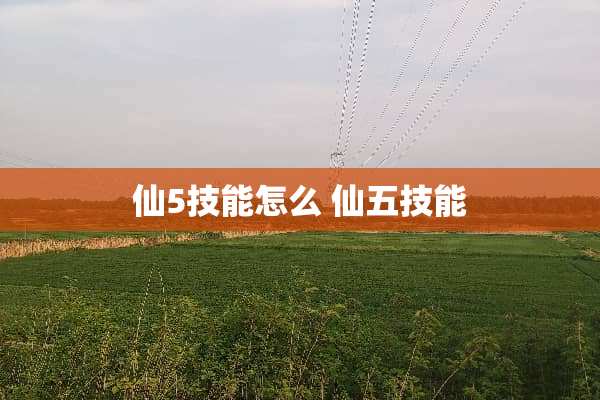 仙5技能怎么 仙五技能