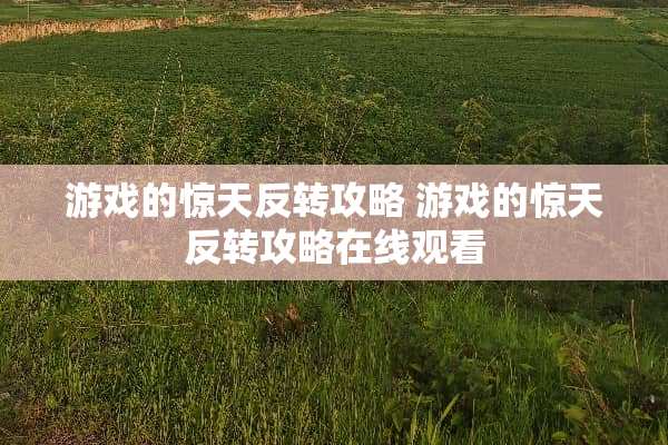 游戏的惊天反转攻略 游戏的惊天反转攻略在线观看