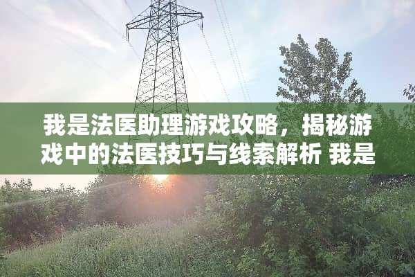 我是法医助理游戏攻略，揭秘游戏中的法医技巧与线索解析 我是法医助理游戏攻略