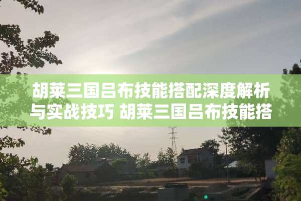 胡莱三国吕布技能搭配深度解析与实战技巧 胡莱三国吕布技能搭配