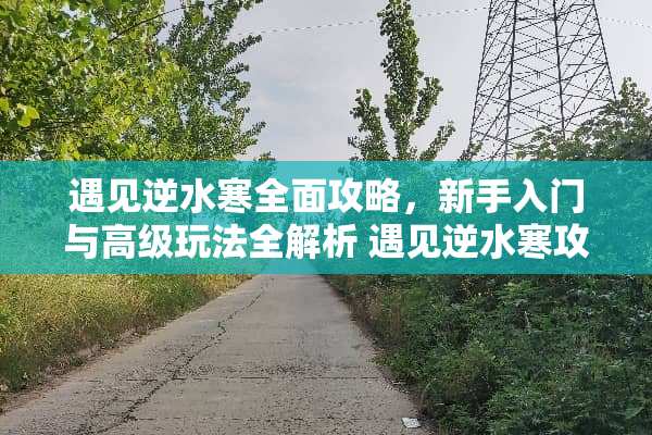 遇见逆水寒全面攻略，新手入门与高级玩法全解析 遇见逆水寒攻略
