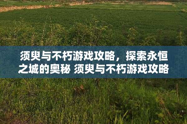 须臾与不朽游戏攻略，探索永恒之城的奥秘 须臾与不朽游戏攻略