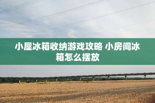 小屋冰箱收纳游戏攻略 小房间冰箱怎么摆放