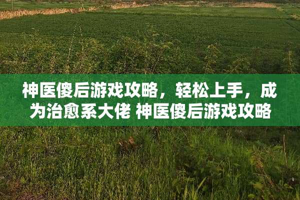 神医傻后游戏攻略，轻松上手，成为治愈系大佬 神医傻后游戏攻略