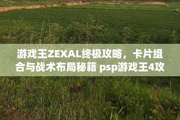 游戏王ZEXAL终极攻略，卡片组合与战术布局秘籍 psp游戏王4攻略