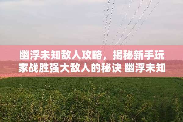 幽浮未知敌人攻略，揭秘新手玩家战胜强大敌人的秘诀 幽浮未知敌人攻略