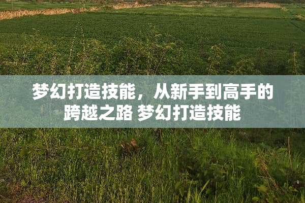 梦幻打造技能，从新手到高手的跨越之路 梦幻打造技能