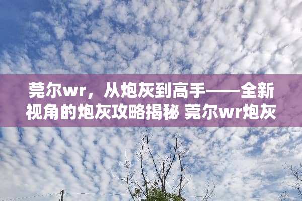 莞尔wr，从*灰到高手——全新视角的*灰攻略揭秘 莞尔wr*灰攻略