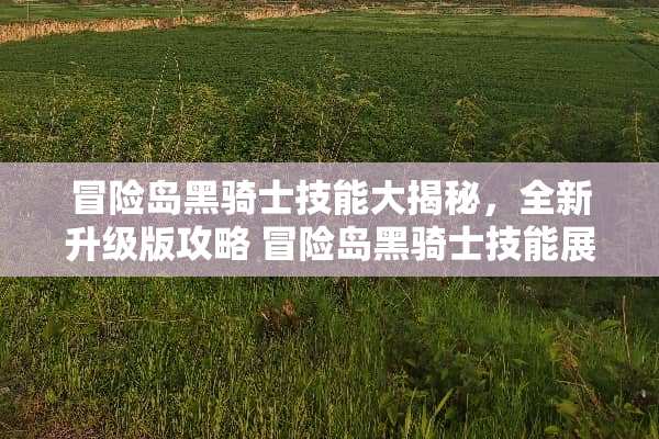 冒险岛黑骑士技能大揭秘，全新升级版攻略 冒险岛黑骑士技能展示