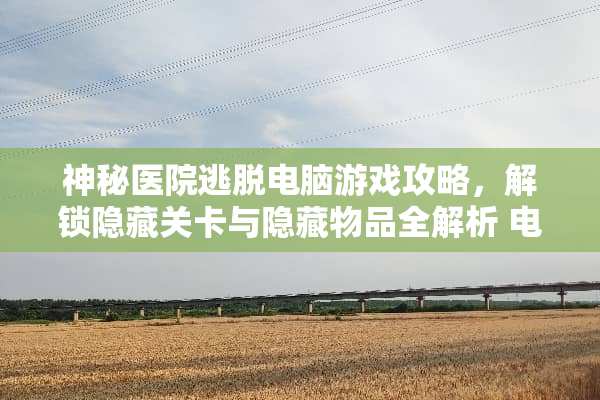 神秘医院逃脱电脑游戏攻略，解锁隐藏关卡与隐藏物品全解析 电脑游戏医院攻略