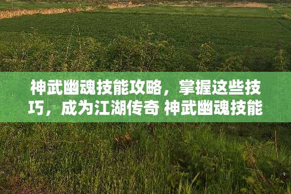 神武幽魂技能攻略，掌握这些技巧，成为江湖传奇 神武幽魂技能