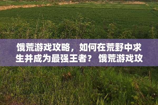 饿荒游戏攻略，如何在荒野中求生并成为最强王者？ 饿荒游戏攻略