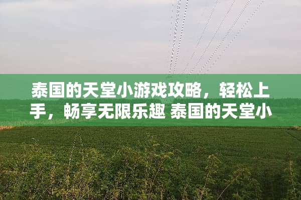 泰国的天堂小游戏攻略，轻松上手，畅享无限乐趣 泰国的天堂小游戏攻略