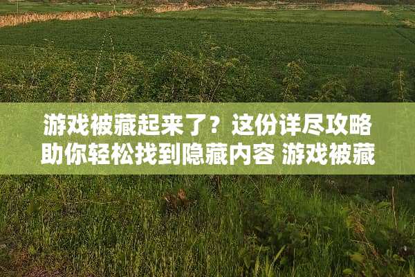游戏被藏起来了？这份详尽攻略助你轻松找到隐藏内容 游戏被藏起来了攻略