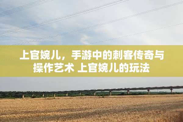 上官婉儿，手游中的刺客传奇与操作艺术 上官婉儿的玩法