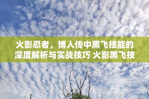 火影忍者，博人传中黑飞技能的深度解析与实战技巧 火影黑飞技能