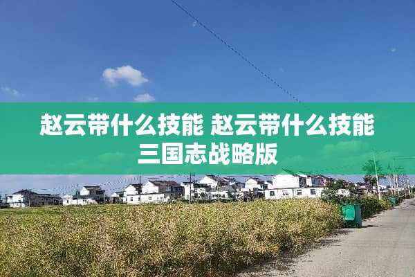 赵云带什么技能 赵云带什么技能三国志战略版