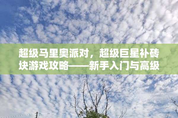超级马里奥派对，超级巨星补砖块游戏攻略——新手入门与高级技巧全解析 补砖块游戏攻略