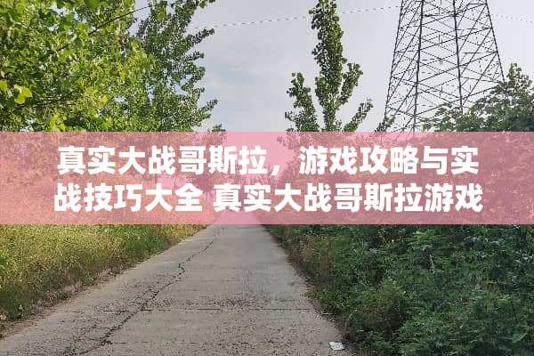 真实大战哥斯拉，游戏攻略与实战技巧大全 真实大战哥斯拉游戏攻略