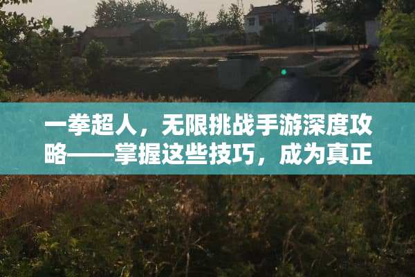 一拳超人，无限挑战手游深度攻略——掌握这些技巧，成为真正的英雄 一拳超人手游攻略