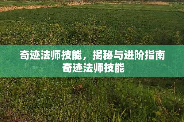 奇迹法师技能，揭秘与进阶指南 奇迹法师技能