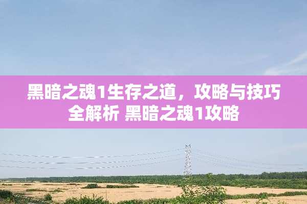 黑暗之魂1生存之道，攻略与技巧全解析 黑暗之魂1攻略