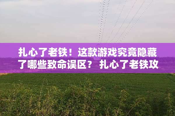 扎心了老铁！这款游戏究竟隐藏了哪些致命误区？ 扎心了老铁攻略