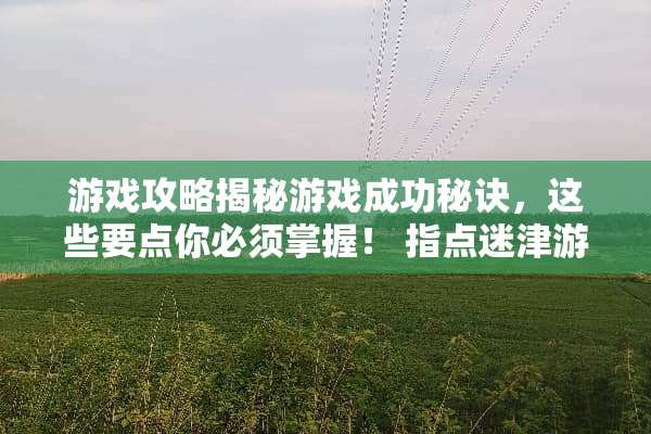 游戏攻略揭秘游戏成功秘诀，这些要点你必须掌握！ 指点迷津游戏攻略