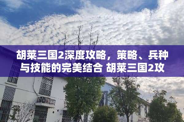 胡莱三国2深度攻略，策略、兵种与技能的完美结合 胡莱三国2攻略