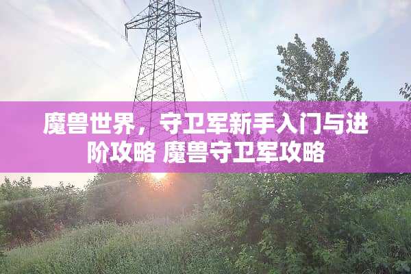 魔兽世界，守卫军新手入门与进阶攻略 魔兽守卫军攻略